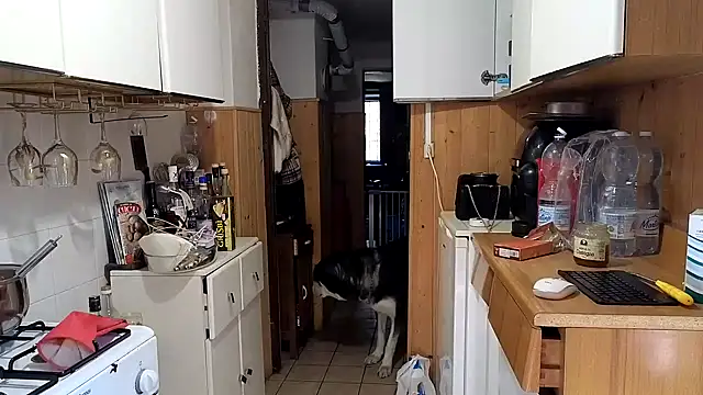 Snapshot of VanessaDoyle chatting on 02/26/26, 08:57 VanessaDoyle online show from 02/26/26, 08:57