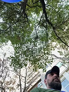 TigerOne19 online show from 10/29/25, 10:17