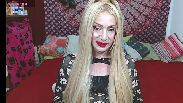 elena evans online show from 11/25/25, 06:19