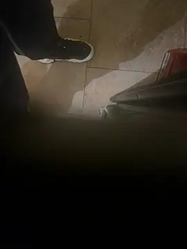 Snapshot of dingoding chatting on 01/08/25, 04:44 dingoding online show from 01/08/25, 04:44