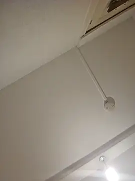 mario890605 online show from 12/21/24, 09:36