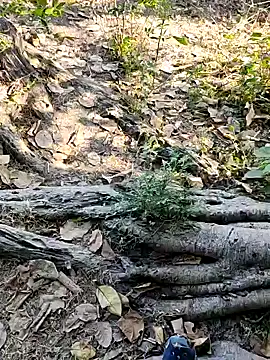 Snapshot of Rinku5553 chatting on 02/02/25, 07:20 Rinku5553 online show from 02/02/25, 07:20