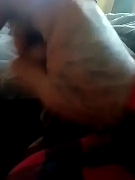 Snapshot of yellowwetfox chatting on 11/22/25, 09:58 yellowwetfox online show from 11/22/25, 09:58