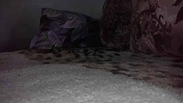 Snapshot of littledaddyflex chatting on 09/17/25, 03:08 littledaddyflex online show from 09/17/25, 03:08