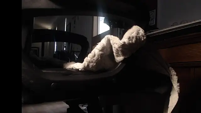 Snapshot of mybigfathead chatting on 09/21/25, 06:53 mybigfathead online show from 09/21/25, 06:53