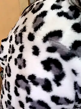 Diya 143 online show from 12/22/25, 06:10