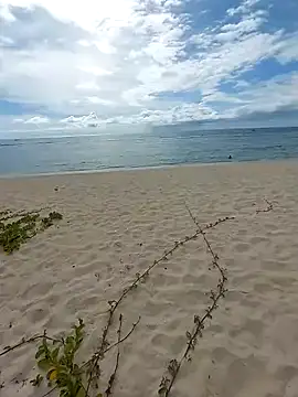 LightedWoman online show from 01/02/25, 11:52