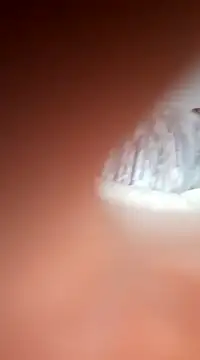 bms125 online show from 03/02/25, 07:54