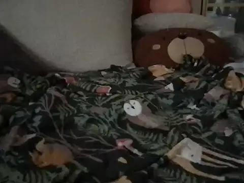 Perwers 41 online show from 11/02/25, 02:19