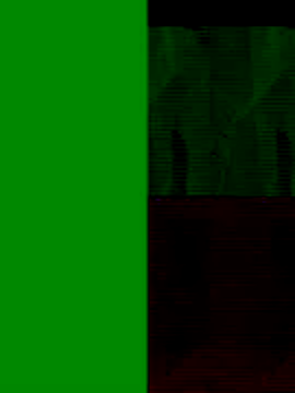 Snapshot of GeilerSchweizer chatting on 11/25/25, 08:47 GeilerSchweizer online show from 11/25/25, 08:47