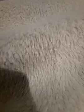 GeilerSchweizer online show from 04/24/26, 08:00