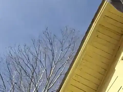 highstepper500 online show from 12/26/24, 05:15