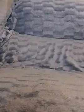 LoGaNfree88 online show from 04/13/26, 01:11