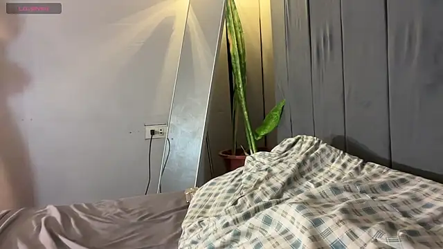 wiggle nibble online show from 01/17/26, 07:28