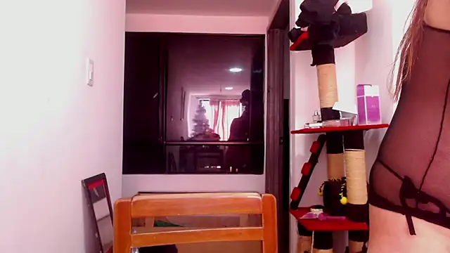 karinasodi 1 online show from 12/03/25, 08:07