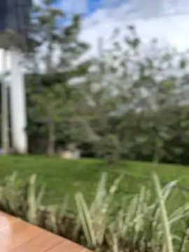 sahorix1 online show from 02/16/26, 03:30