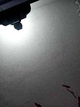 Deina bunny online show from 02/17/25, 10:03