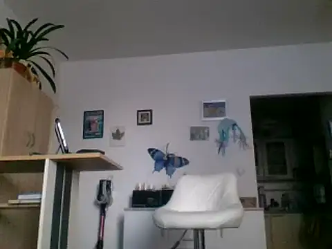 82liska online show from 11/28/25, 09:56