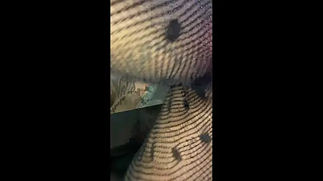 QueKitty online show from 07/10/26, 08:22
