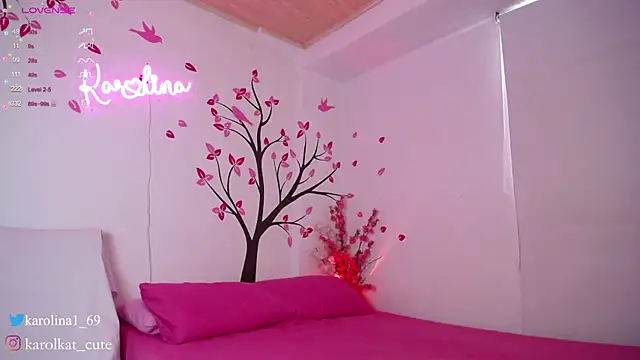 Karolina 1 online show from 01/27/25, 04:22