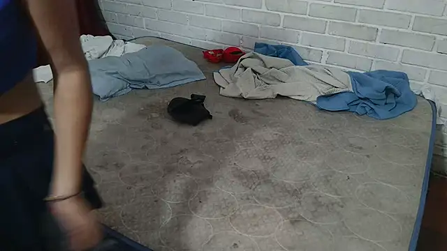 Snapshot of valeriaswang_Lucas chatting on 11/25/25, 04:18 valeriaswang Lucas online show from 11/25/25, 04:18