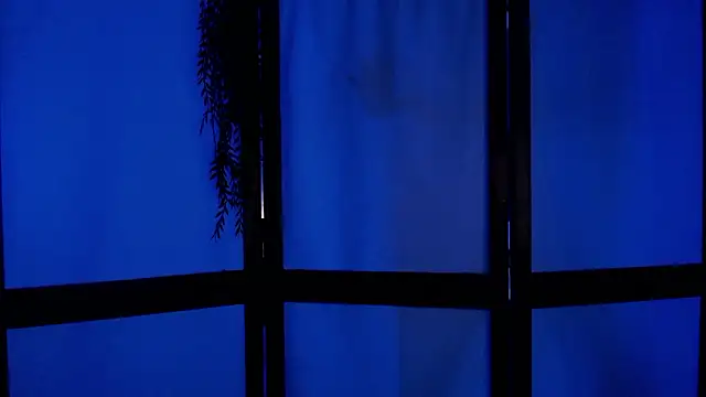 Snapshot of Wildorchid_ chatting on 12/02/24, 04:53 Wildorchid  online show from 12/02/24, 04:53