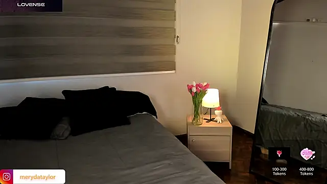 Snapshot of MERIDA_TAYLOR chatting on 02/28/26, 01:23 MERIDA TAYLOR online show from 02/28/26, 01:23