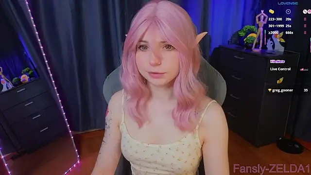 zelda 1 online show from 07/04/26, 02:29