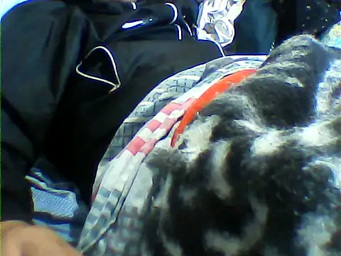 Snapshot of messi_syssy chatting on 09/25/25, 08:34 messi syssy online show from 09/25/25, 08:34