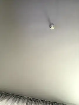 gabiTetas online show from 09/08/25, 08:30