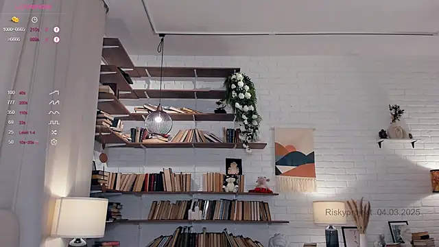 Snapshot of Riskyproject chatting on 03/04/25, 01:17 Riskyproject online show from 03/04/25, 01:17