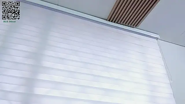 Rick Diesel  online show from 03/13/25, 11:41