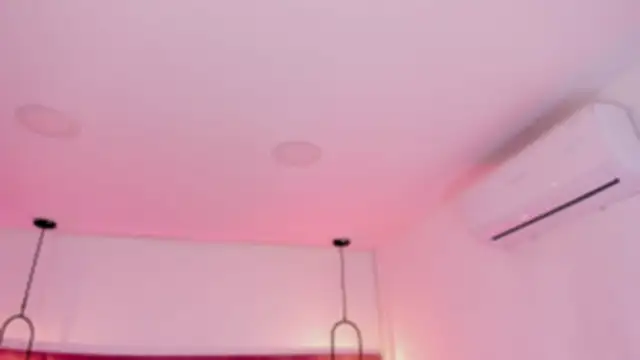 babepolly online show from 01/16/26, 10:19