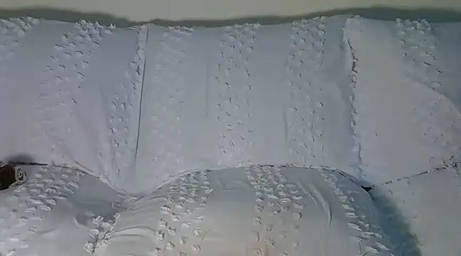 Snapshot of wetmypants chatting on 03/08/25, 06:10 wetmypants online show from 03/08/25, 06:10