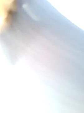 Snapshot of mustican422 chatting on 02/25/25, 10:04 mustican422 online show from 02/25/25, 10:04