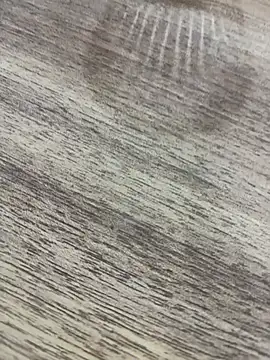 bulpof online show from 04/01/26, 05:32