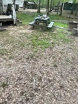 Themechanic420 online show from 04/04/26, 02:58