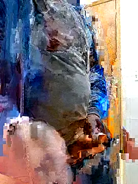 Jeffikuis online show from 09/23/25, 03:31