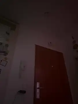 Toyjungee online show from 12/23/24, 01:03