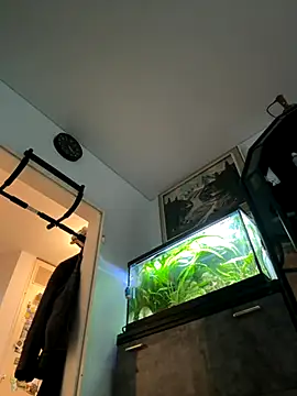 Toyjungee online show from 09/23/25, 03:37