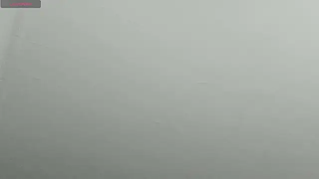 natasha logan  online show from 02/09/25, 04:25