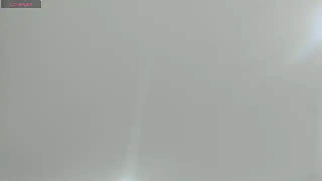 natasha logan  online show from 02/21/25, 04:07