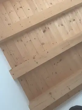 Fellix online show from 02/24/25, 11:43