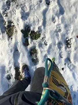 Snapshot of Mrbighardcock chatting on 01/14/26, 10:21 Mrbighardcock online show from 01/14/26, 10:21