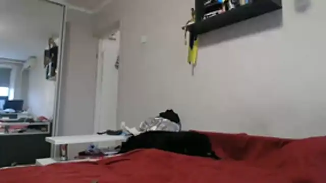 delightful sofi online show from 11/11/25, 12:27