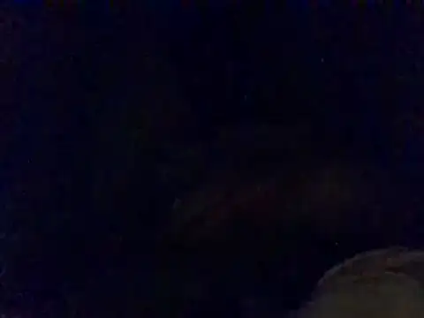 Snapshot of pritamkr69 chatting on 12/30/24, 05:44 pritamkr69 online show from 12/30/24, 05:44