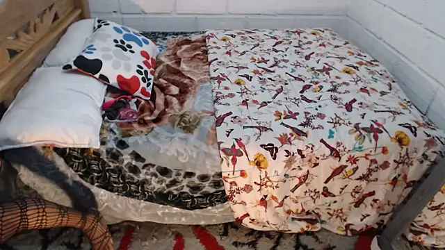 sexyjustin202 online show from 12/15/25, 10:58