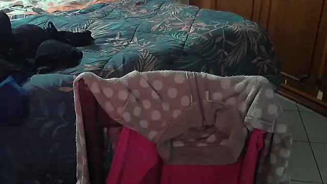 stellin online show from 02/17/26, 04:57