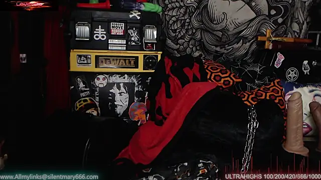 Silentmary online show from 02/18/25, 11:52