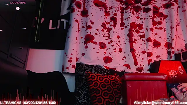 Silentmary online show from 11/19/25, 02:44